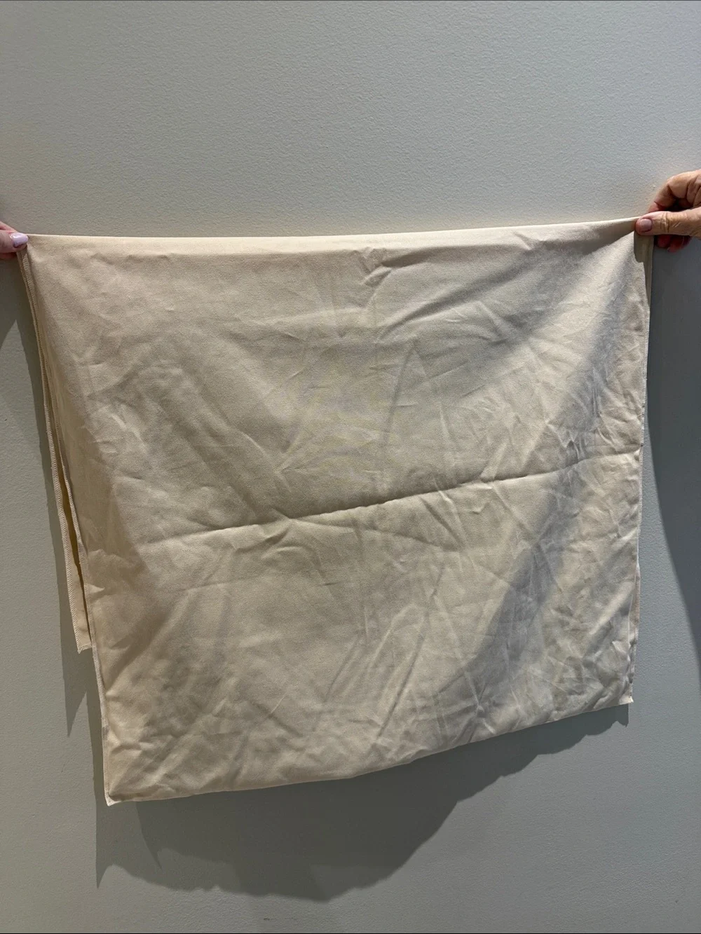 Louis Vuitton XL Dust Bag